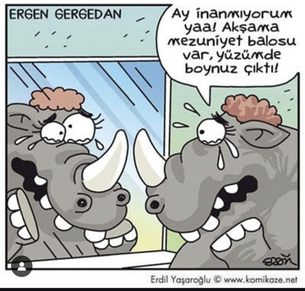 Ergenlik dönemi sorunları 